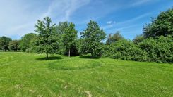 Evolution of fungi in a study of fairy rings image